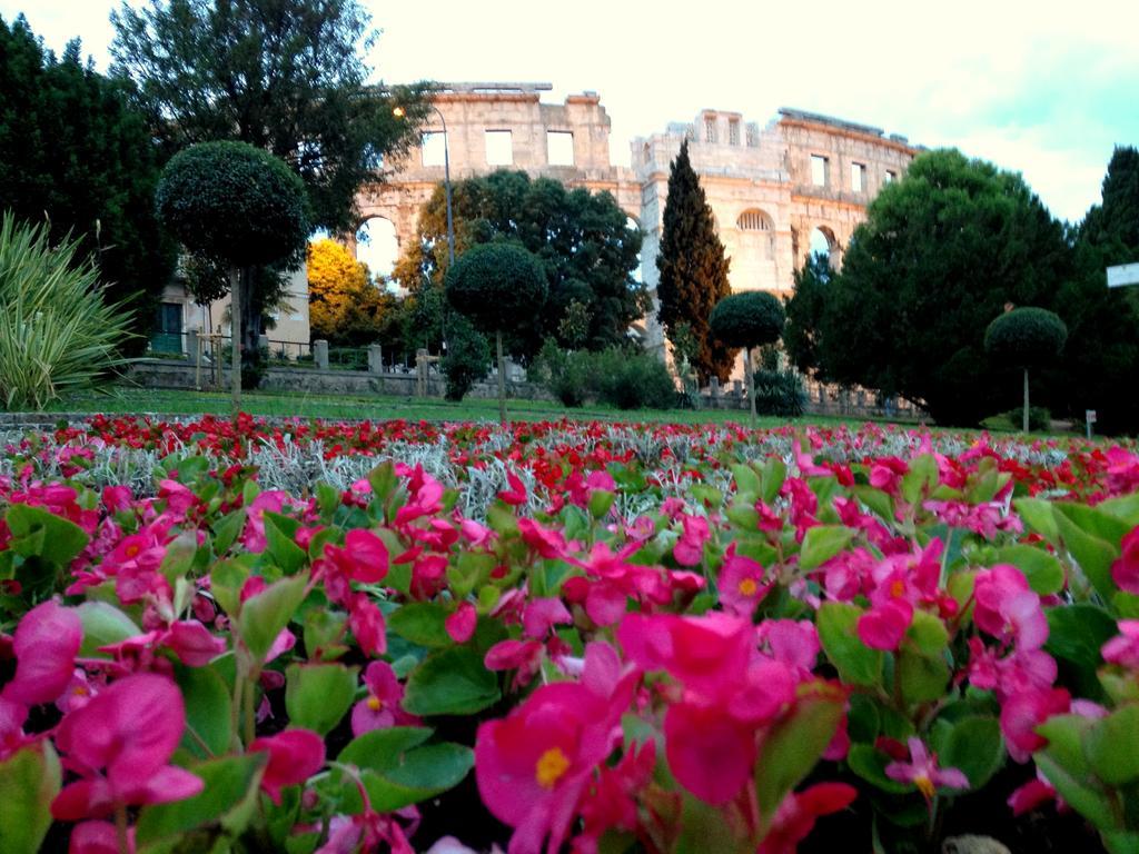 Amphitheater Apartment Pula Exterior photo